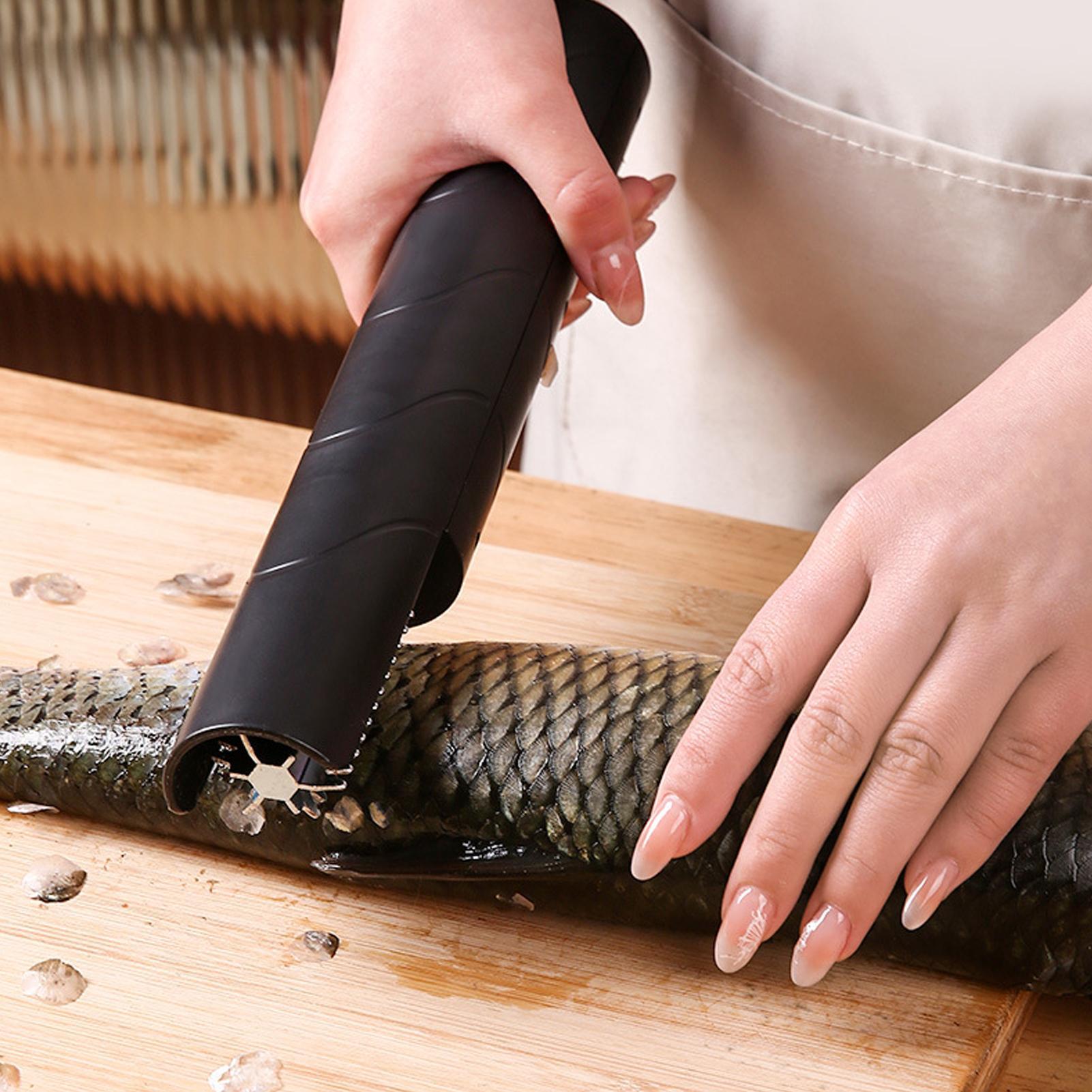 Pengupas Sisik Ikan Tanpa Kabe - Camping Cooking Meals ulasan dan harga